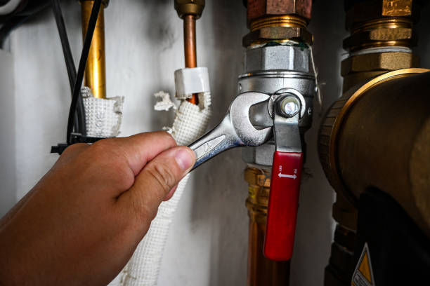 Best Plumbing Services Near Me  in Calico Rock, AR